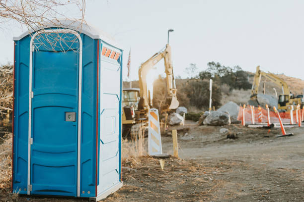 Best Sanitation services for porta potties  in Mount Jackson, VA