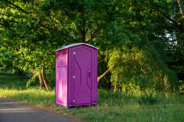 Best Affordable portable toilet rental  in Mount Jackson, VA